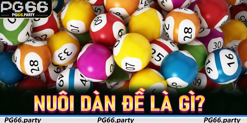 Nuôi Dàn Đề là gì? Vì sao ngày càng nhiều người áp dụng